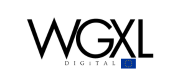 WiseGuyXL Technologies